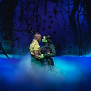 Biglietti per Wicked, lo spettacolo teatrale a Londra 10