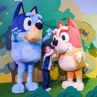La Casa de Bluey 3