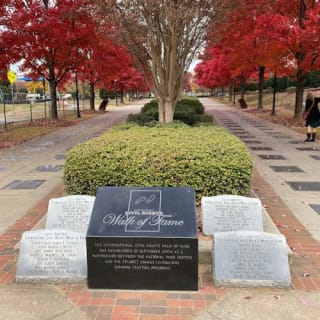 Atlanta: tour a piedi del Martin Luther King Jr Historic District 5