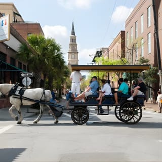 Daytime Horse-Drawn Carriage Sightseeing Tour of Historic Charleston 11