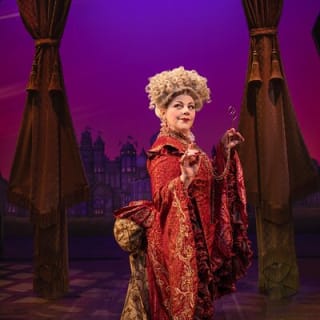 Biglietti per Wicked, lo spettacolo teatrale a Londra 14