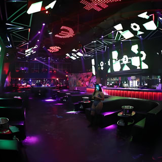 Miami Night: la massima esperienza di nightclub 3