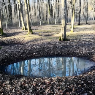 WW1 Belleau Wood and American Monument in Château-Thierry - Day trip from Paris 6