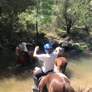 Horseback riding in a unique environment 4
