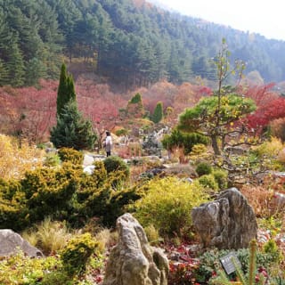 강촌레일파크 + 남이섬 + 아침고요수목원 당일치기 여행 12