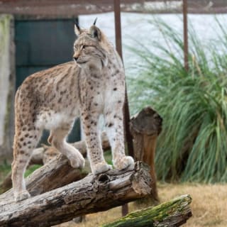 Zoo Koki General Admission 3