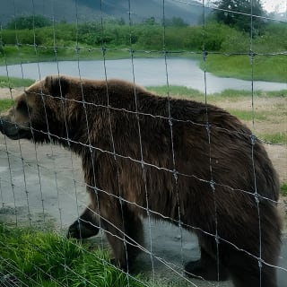 Wildlife Conservation Center with Lunch & Local Beer Sampling 10