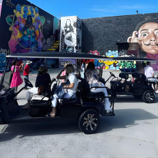 Visita en carrito de golf a una cervecería de Wynwood en grupo reducido con un guía local 8
