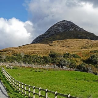 Galway to Connemara National Park and Diamond Hill Full Day Tour 5