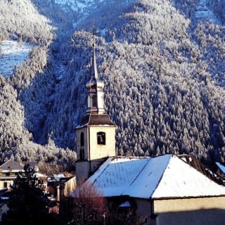 Excursion d'une journée à Chamonix et visite de Genève 5