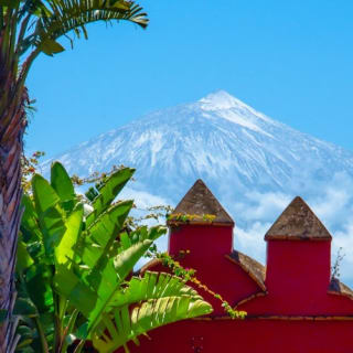 Museo del Vino de Tenerife: Visita y degustación 2