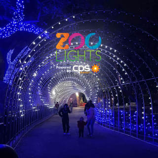 Zoo Lights: A Dazzling Holiday Experience 1