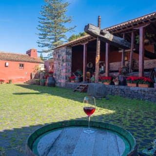 Museo del Vino de Tenerife: Visita y degustación 3