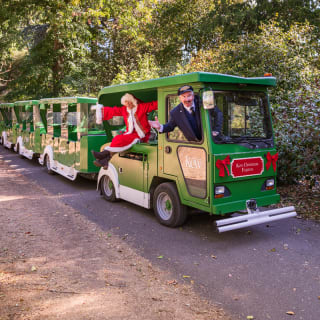 Christmas Express presso i Kew Gardens Royal Botanic Gardens 3
