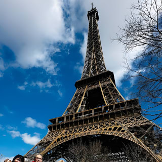 Eiffel Tower Elevator Tour with a Guide (Ecklectours) 11