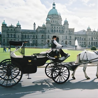 75 minuti The Royal Tour 1