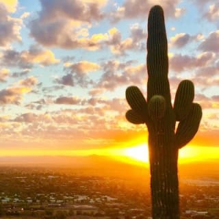 Stunning Sunrise or Sunset Guided Hiking Adventure in the Sonoran Desert 1