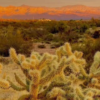 Stunning Sunrise or Sunset Guided Hiking Adventure in the Sonoran Desert 2
