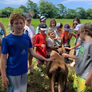 Eco Friendly Farming Tour to Explore Dorado's Most Beautiful Farm 2