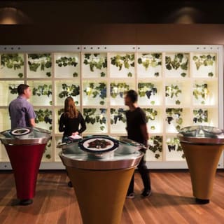 Australian Wine Discovery Tour with Tastings 3