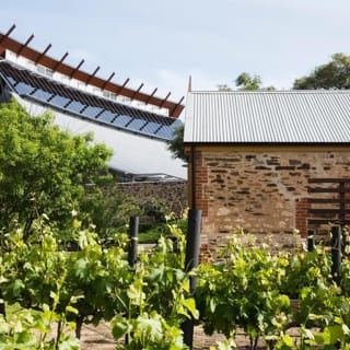 Australian Wine Discovery Tour with Tastings 5