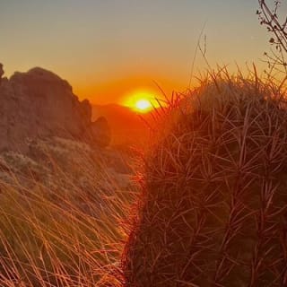 Stunning Sunrise or Sunset Guided Hiking Adventure in the Sonoran Desert 4