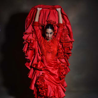 Inspiration - Flamenco show at Teatro Flamenco Barcelona 1