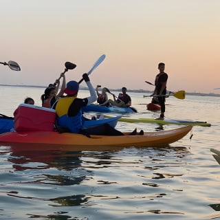 Kayak Through the Mangroves to the Purple Island 4