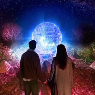 Astra Lumina: An Enchanted Night Walk Amongst the Stars - Gift Card 7