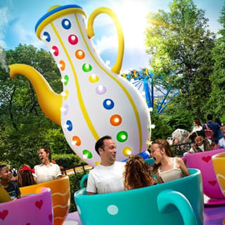 Dutch Wonderland: Entry Ticket 2