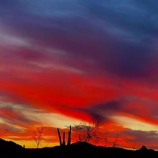 Stunning Sunrise or Sunset Guided Hiking Adventure in the Sonoran Desert 8