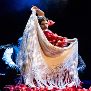 Experiencia Premium en Teatro Flamenco Barcelona 2