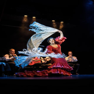 Experiencia Premium en Teatro Flamenco Barcelona 3