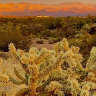 Stunning Sunrise or Sunset Guided Hiking Adventure in the Sonoran Desert 11