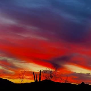 Stunning Sunrise or Sunset Guided Hiking Adventure in the Sonoran Desert 12