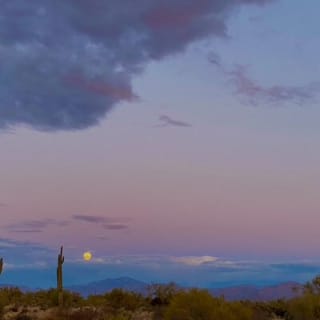 Stunning Sunrise or Sunset Guided Hiking Adventure in the Sonoran Desert 13