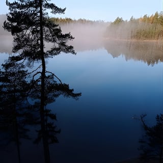 Vaelluskokemus kansallispuistossa Backpacker Helsinki Tourilla 11