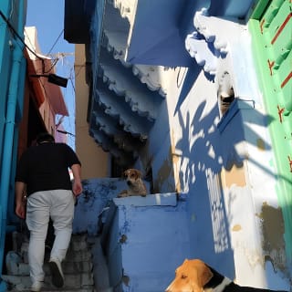 Blue city heritage walk 21