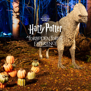 Harry Potter: A Forbidden Forest Experience 2