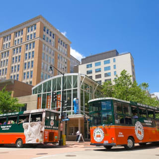 Washington Welcome Center: 90-Minute Guided Tour Old Town Trolley Washington 4