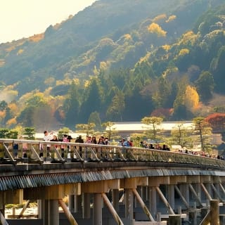 嵐山、伏見稲荷、奈良鹿公園を巡る京都日帰りツアー 2