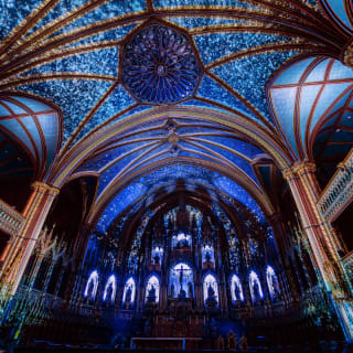The AURA Experience at the Notre-Dame Basilica of Montréal 12