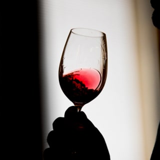 Curso de Enogastronomia & Harmonização de Comida e Vinhos 3