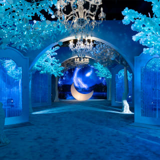 House of Dreamers 5