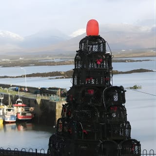 From Galway: Guided tour of Connemara with 3 hour stop at Connemara National Pk. 22