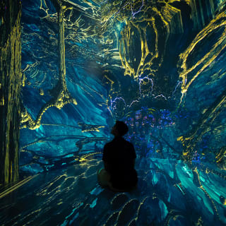 ARTECHOUSE Presents: Fractal Worlds 3