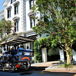 Daytime Horse-Drawn Carriage Sightseeing Tour of Historic Charleston 12