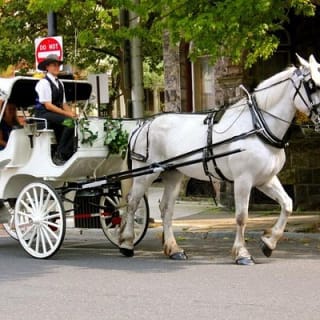 Paseo en carruaje por Central Park (VIP - PRIVADO) Desde 1964™ 1