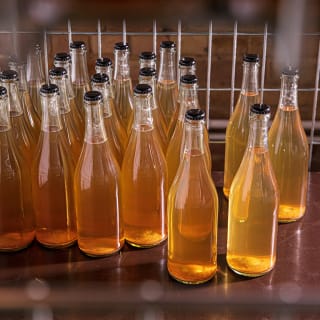 Tour Our Meadery 2