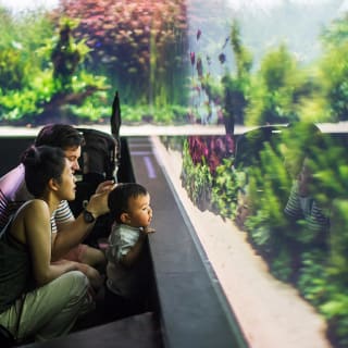 Oceanário de Lisboa: Mergulha nesta aventura! 4